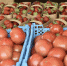 Фермерам Кубани помогут реализовать сельхозпродукцию - Газета Провинциальная газета