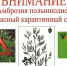 Листовка по амброзии - Администрация Лабинского района